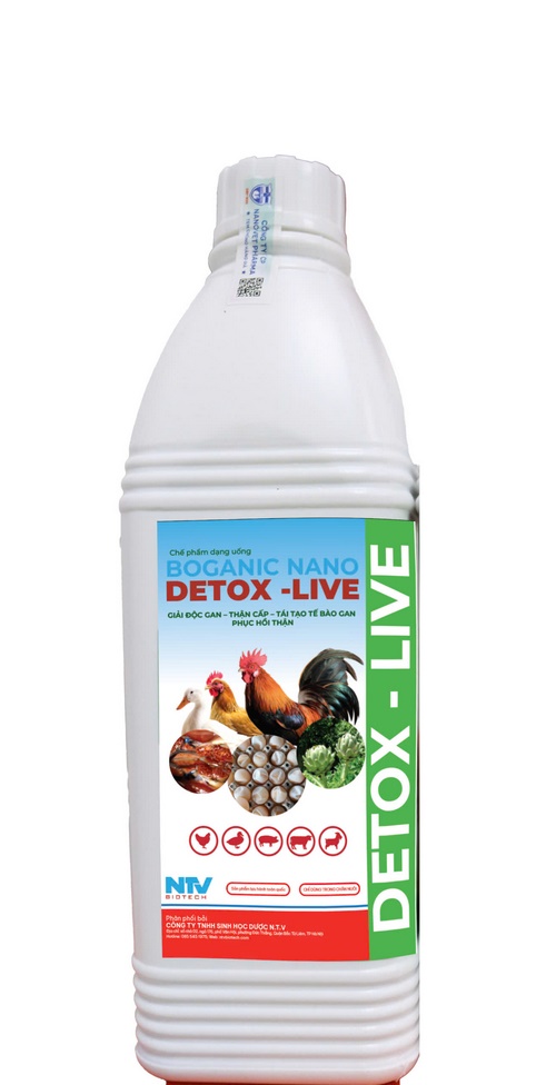 DETOX - LIVE